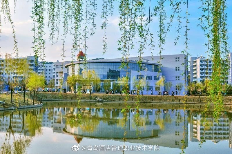 与你相约山海 青岛酒店管理职业技术学院酒店管理专业探秘